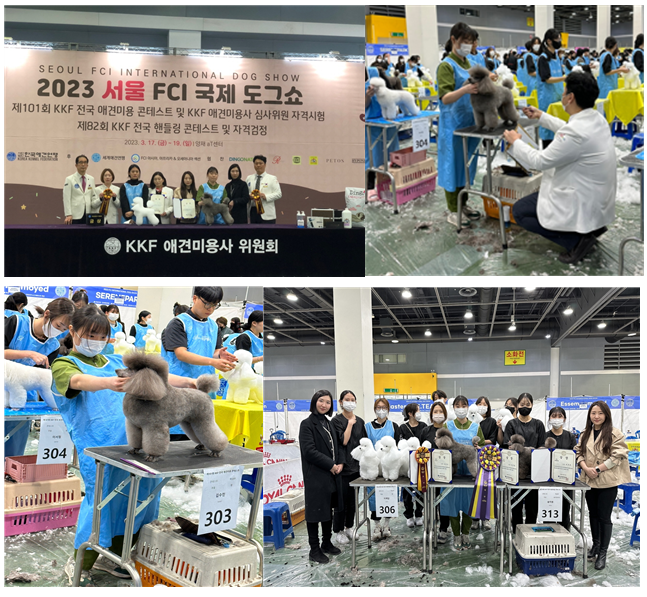 2023 서울 fci 국제 도그쇼 에서 학생들과 교수님들 상장을 들고 단체 사진, 애견 미용하고 있는 학생들 모습