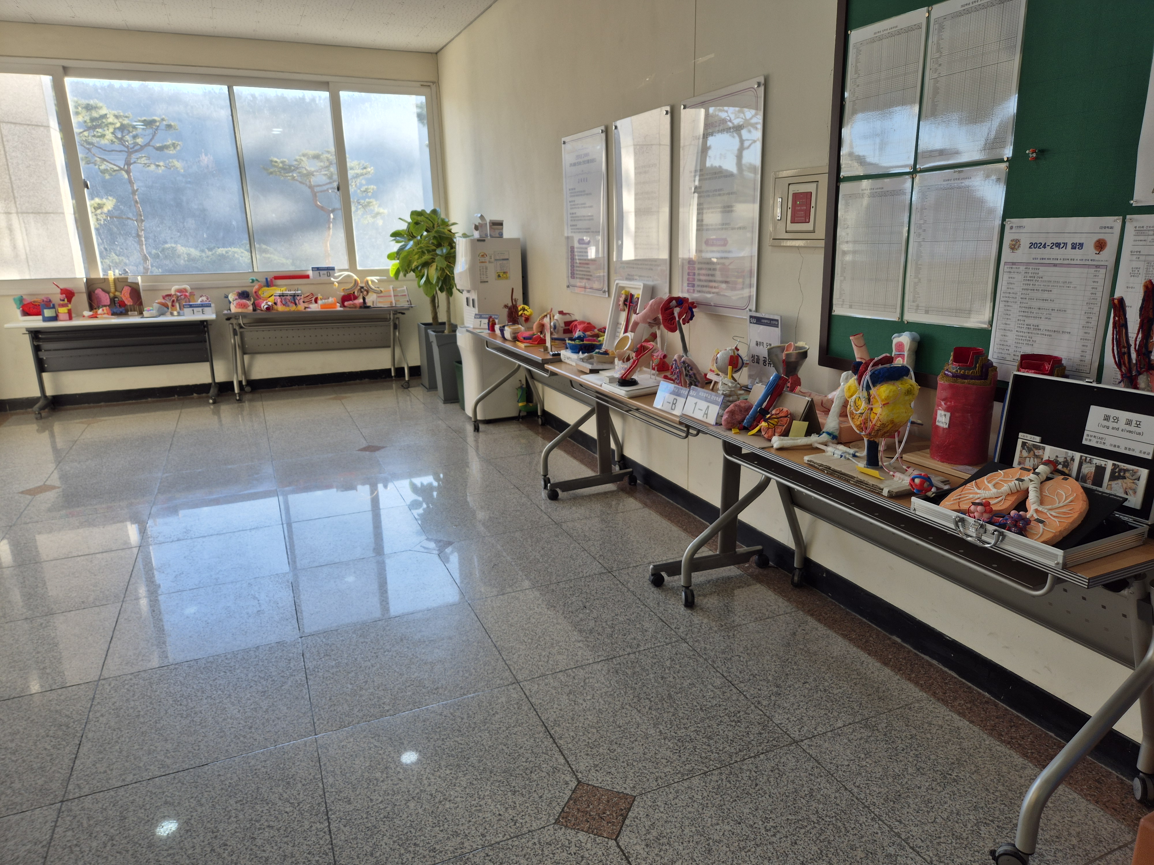 해부학 수업 '인체기관 모형 만들기' 전시