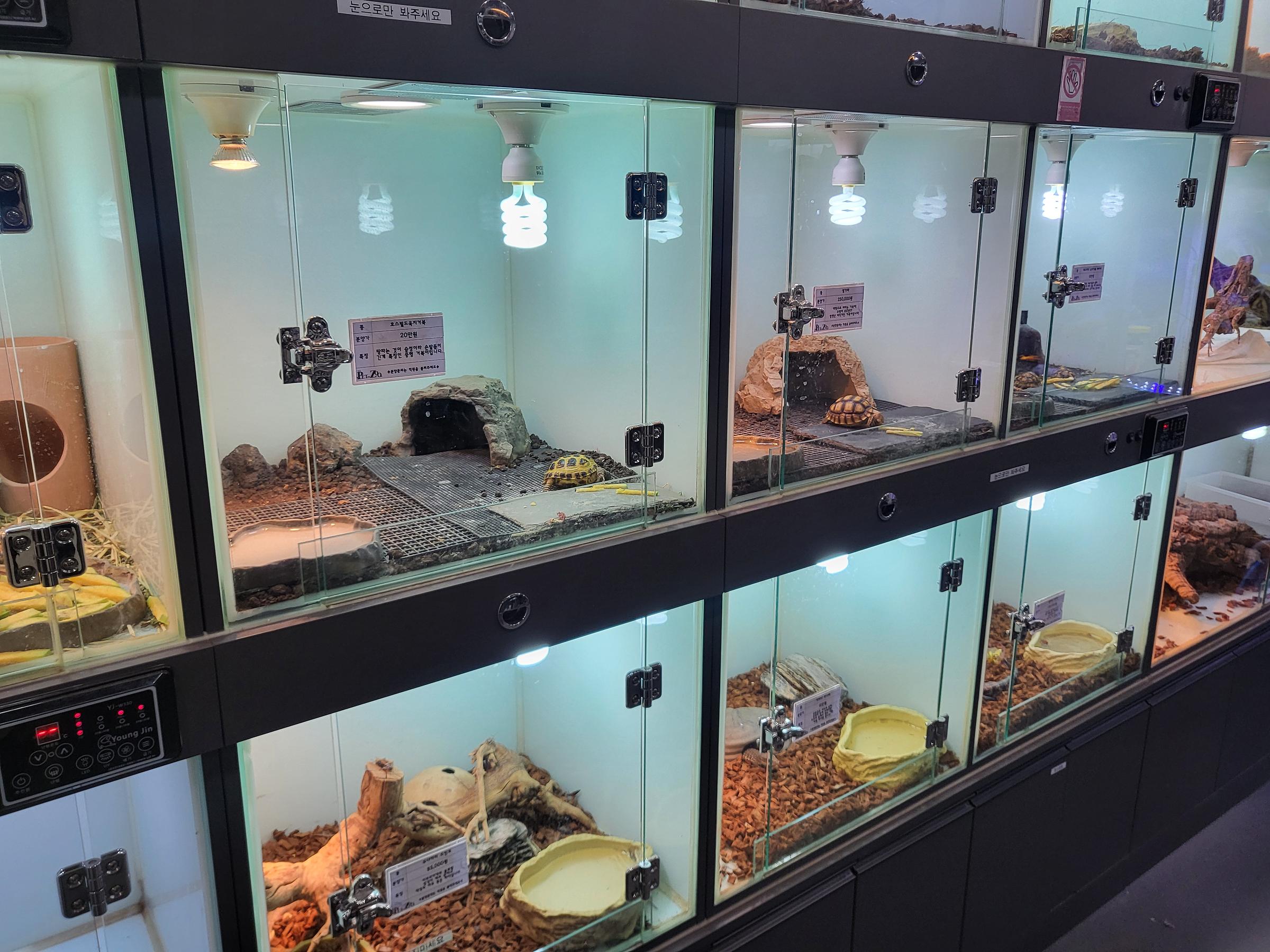 펫인쥬 동물 메디컬 센터의 내부 카운터 사진