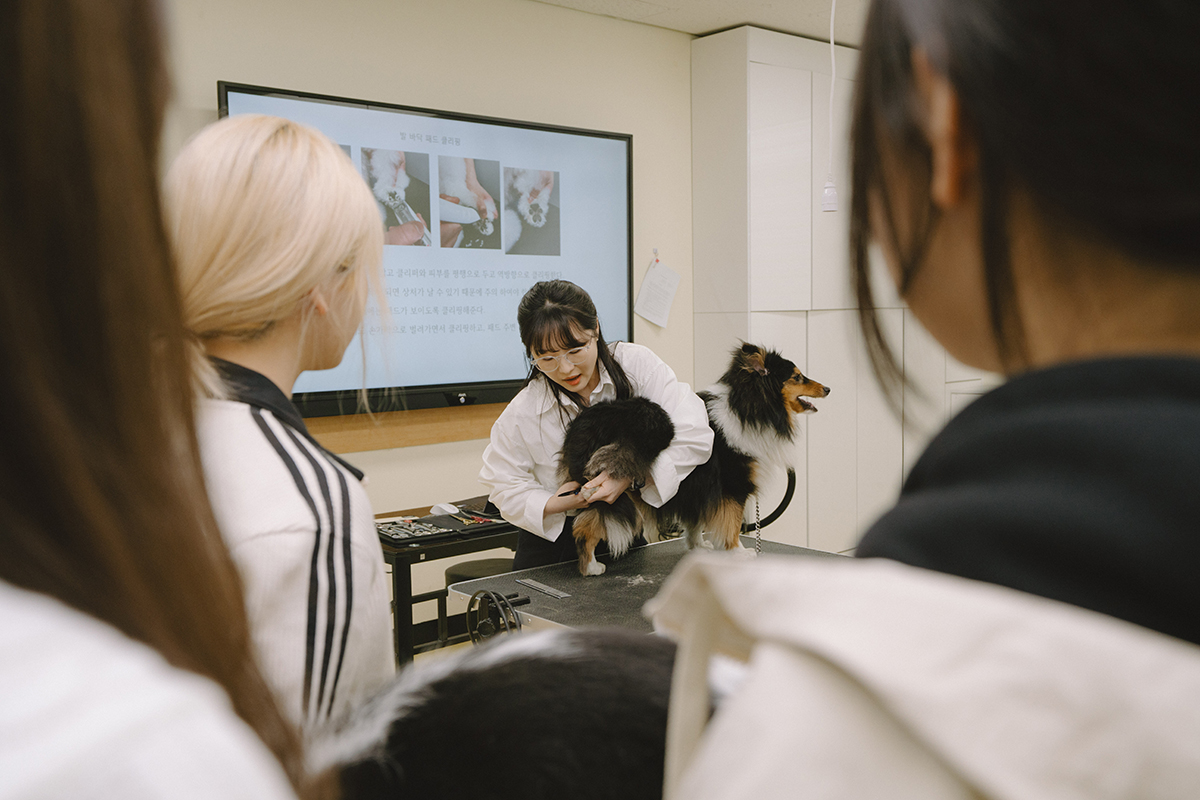 큰 개를 안고 설명하는 교수님과 듣고 있는 학생들 사진